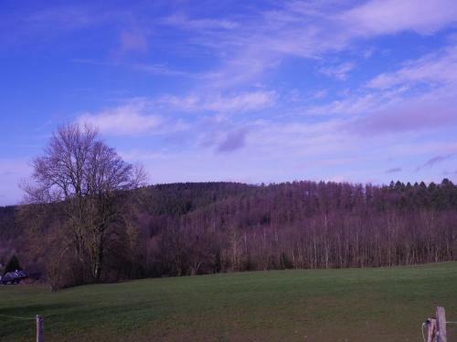 Quaint Holiday Home In Aywaille With Sauna, Jacuzzi