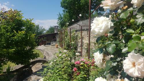 Hostal Rosarium Residence Guest House