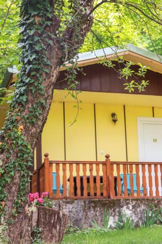 23 Persons Bungalow In Nice Forest