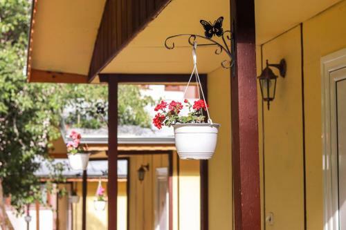 23 Persons Bungalow In Nice Forest 8