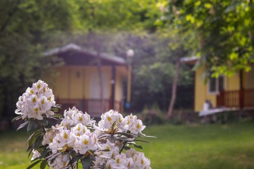 23 Persons Bungalow In Nice Forest 8
