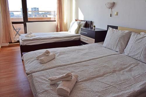 Apartment Oazis 54