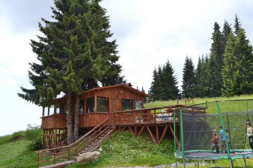 Hostal ???? Forest Nook