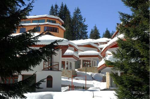 Ski Villa In Pamporovo Forest