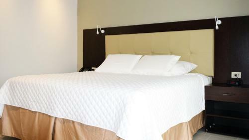 Hotel Delfines Collection Equipetrol