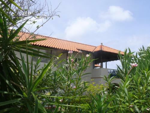 Apartment 1 And 5 In Windsock Beach Resort