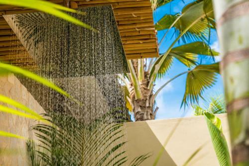 Bamboo Bonaire Boutique Resort