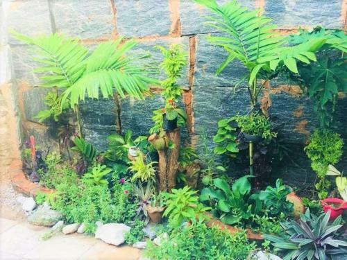 Hostal Pousada Castelo Das Princesas - �guas Belas