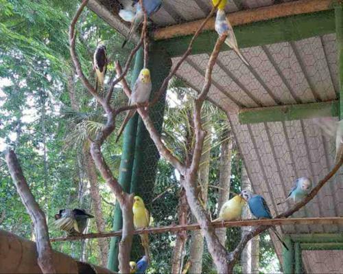 Hostal Pousada Novo Xod�