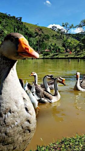 Hostal Pousada Novo Xod�