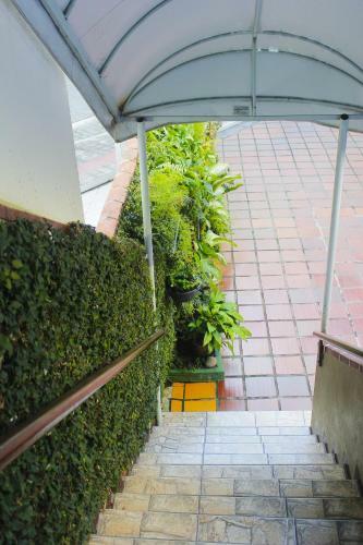 Hostal Hotel Paran� Bc