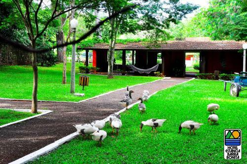 Hotel Est�ncia Barra Bonita