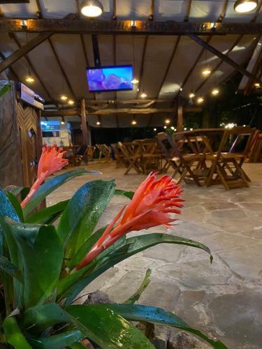 Reservamazon Forest Hotel