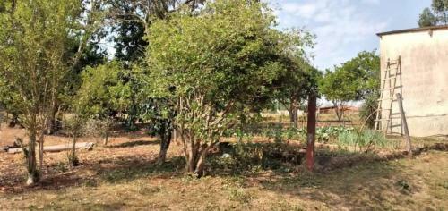 Ch�cara Morro Grande Boa Vista Do Silva