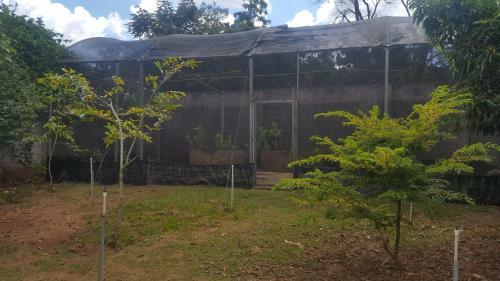 Bed & Breakfast Suites Na Ch�cara - Espa�o Amplo E Arejado Dentro Da Cidade