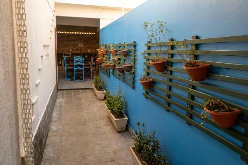 Beach Hostel & Suites Los Pibes de Flores
