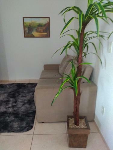 Apartamento Apto Tavares Jockey