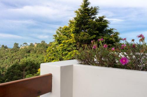Hostal Casa Bicho Pregui�a Village