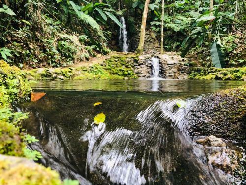 Hotel Bosques Do Massagua�u