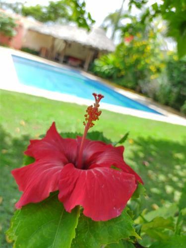 Villa Roma Beach Hotel