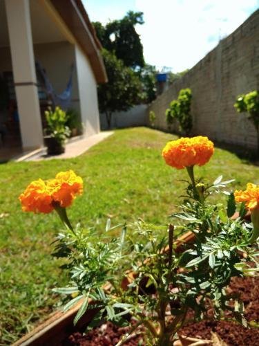 Guest House Fam�lia Canal