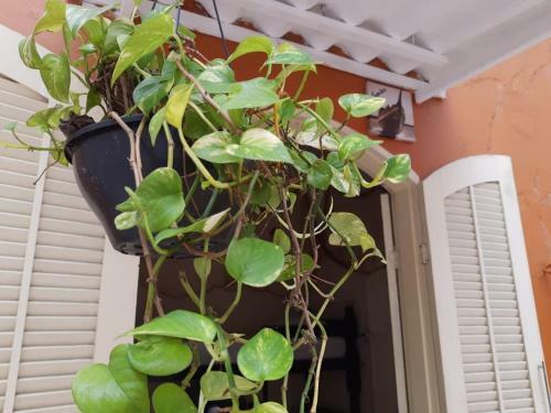 Desfrute Hostel Guaruj� Praia Do Tombo