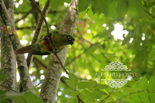 Hostal Alebahli Hospedagem Ilhabela