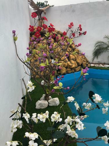 Hostal Paraiso Dos Reis