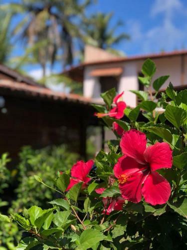 Hostal Pousada P�r Do Sol