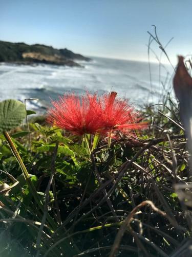 Ess�ncia Do Mar