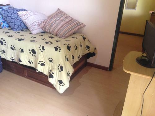 Canto Dos P�ssaros