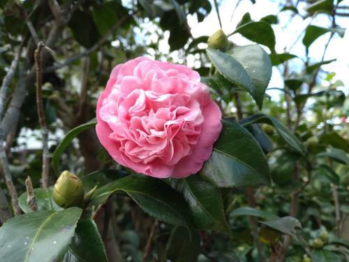 Al Di L� Del Sogno B&B