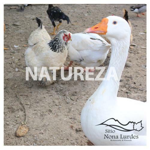 Hostal Restaurante E Pousada S�tio Nona Lurdes