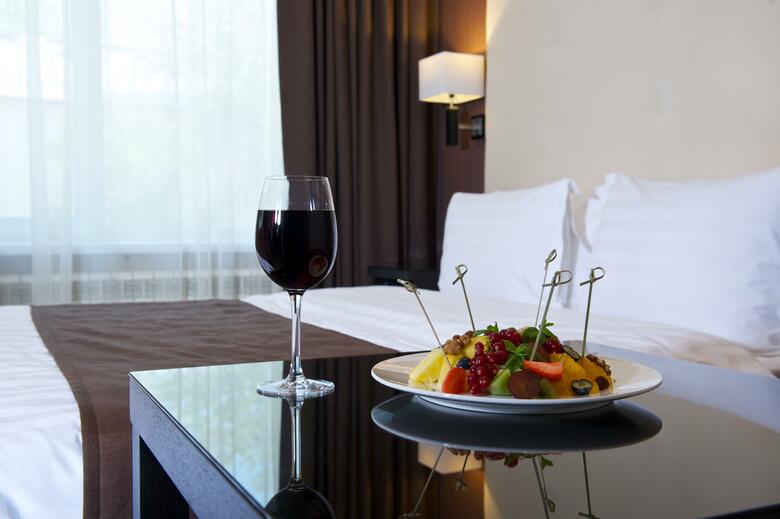 Hotel Metelitsa