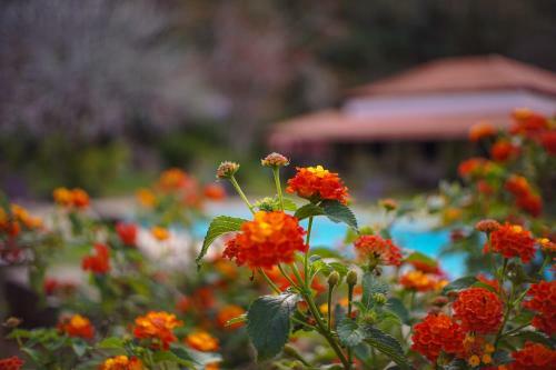 Hotel Eco Resort Bela Riba