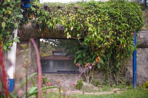 Hotel Eco Resort Bela Riba