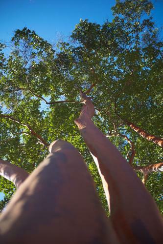Hotel Eco Resort Bela Riba