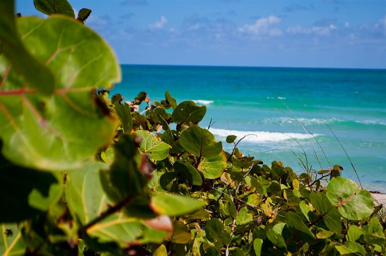 Hotel Best Western Atlantic Beach Resort