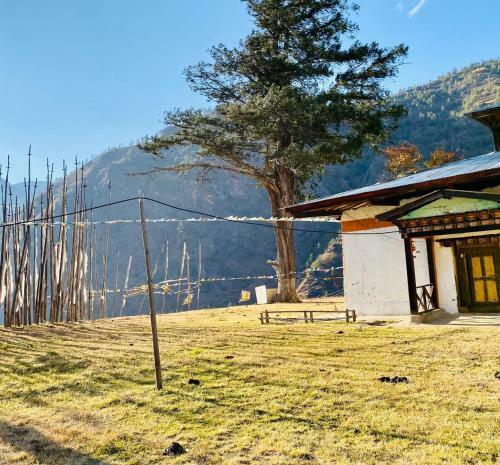 Hotel The Postcard Dewa, Thimphu, Bhutan