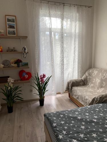 Apartamento ???????? ? ??????