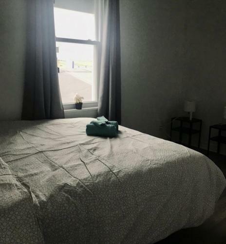 Apartamento Cozy Home Close To Kitchener Downtown
