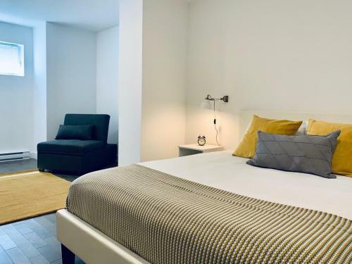 Quiet Fully Renewed Apartment Plateau Mont-royal