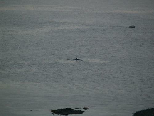 Gibralter Rock Ocean View B&B