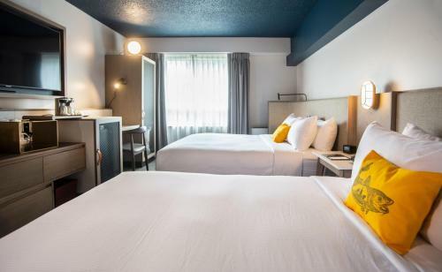 Hotel Doubletree By Hilton St. John's Harbourview