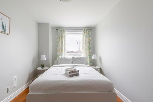 Newly Renovated - Modern 3br Apartment - Trinity Bellwoods!