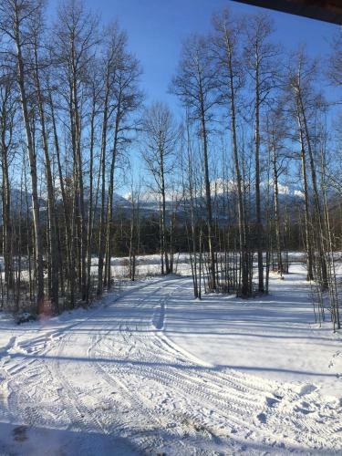 Cougar Mountain Cabin Rentals