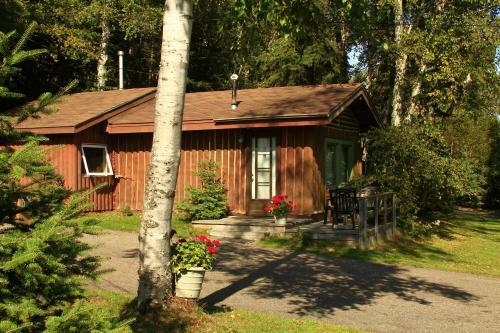 Lodge High Falls Motel & Cabins