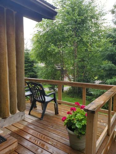 Lodge High Falls Motel & Cabins