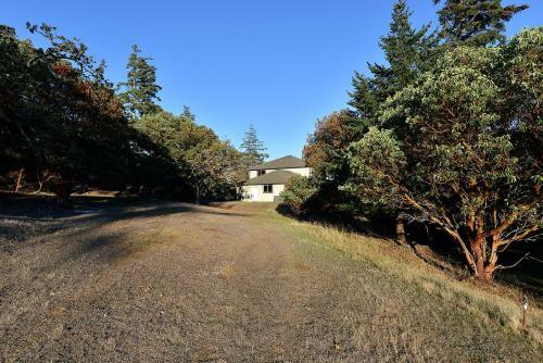 Arbutus Hill