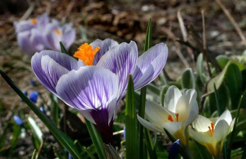 Apartamento Maryland Home By Nest Host